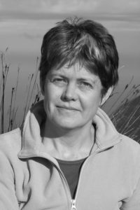 Prof Louise Green – English at Stellenbosch University