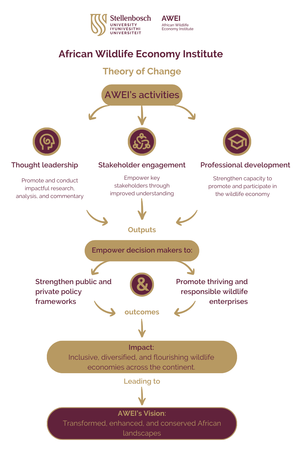graphic representation of AWEI's Theory of Change