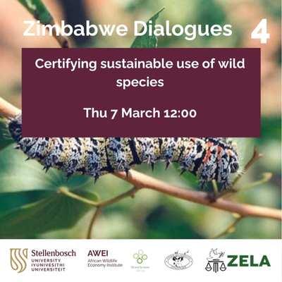 Zimbabwe dialogues 4