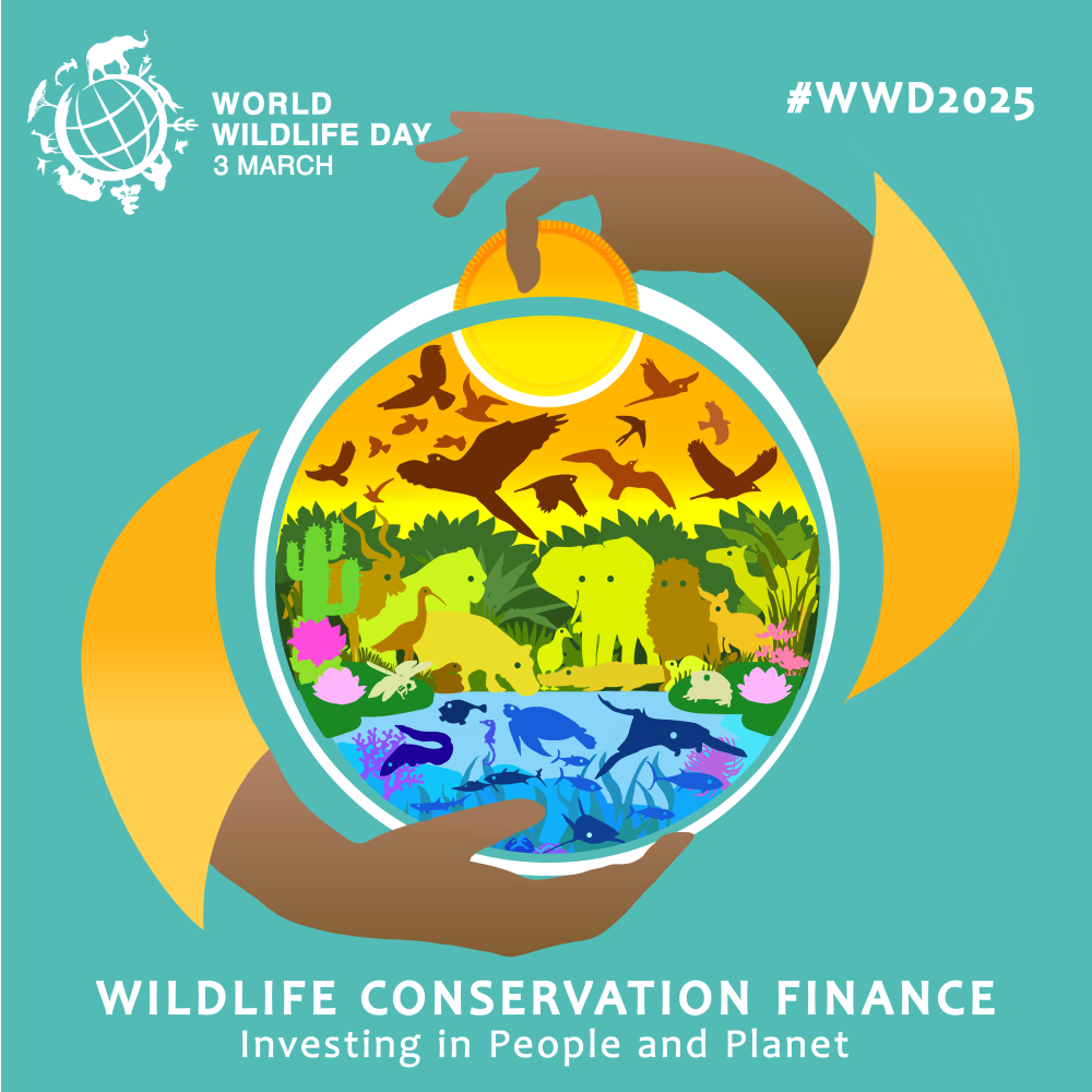 World Wildlife Day poster