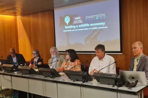 33rd CITES Animals Committee Meeting