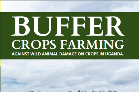 Cover image for Buffer Crops Farming book