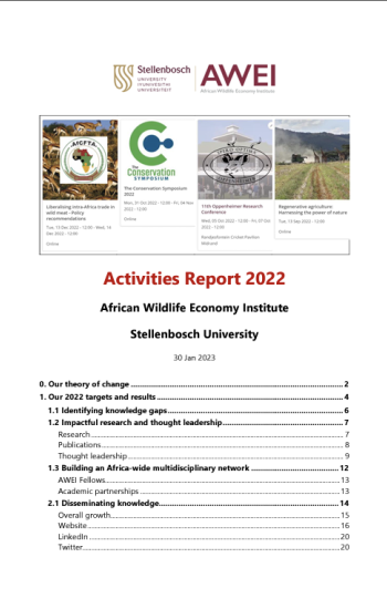 AWEI Activities Report 2022 cover page