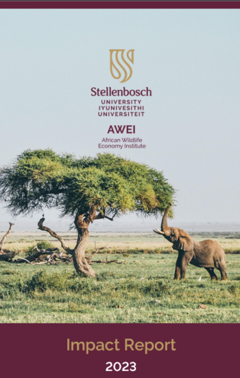 AWEI Impact Report cover page