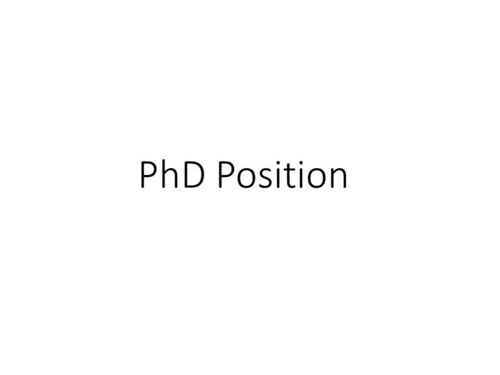 phd position was ist das