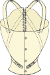 Orthopaedic soft corset